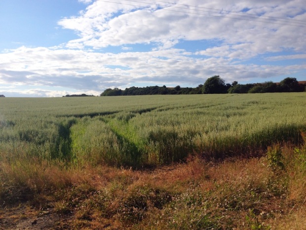 Farmland between Kirkliston and Cramond